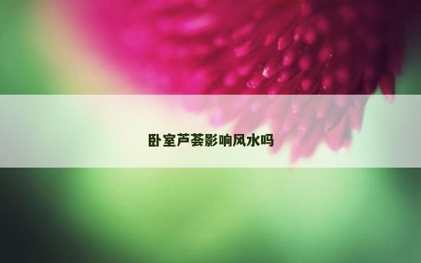 卧室芦荟影响风水吗