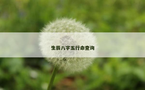 生辰八字五行命查询