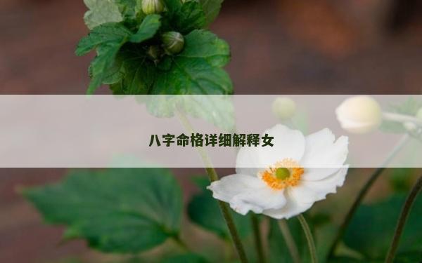 八字命格详细解释女