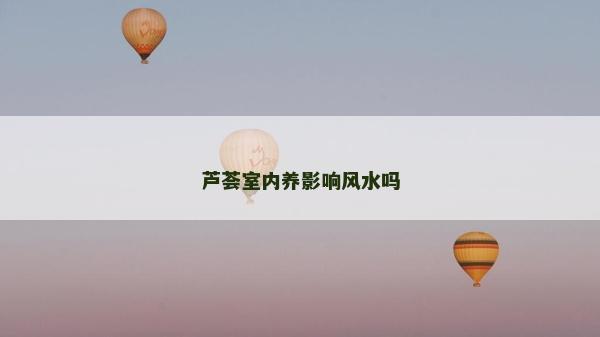 芦荟室内养影响风水吗