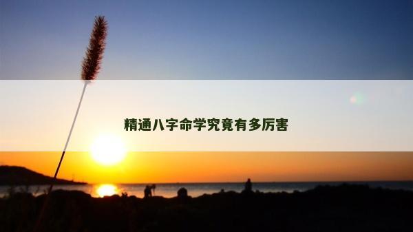 精通八字命学究竟有多厉害