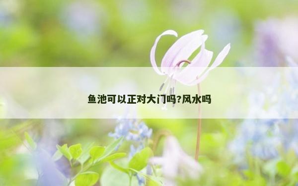 鱼池可以正对大门吗?风水吗