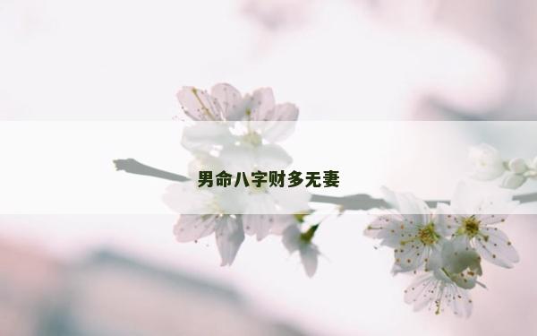 男命八字财多无妻