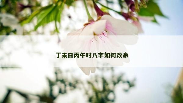 丁未日丙午时八字如何改命