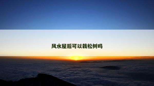 风水屋后可以栽松树吗
