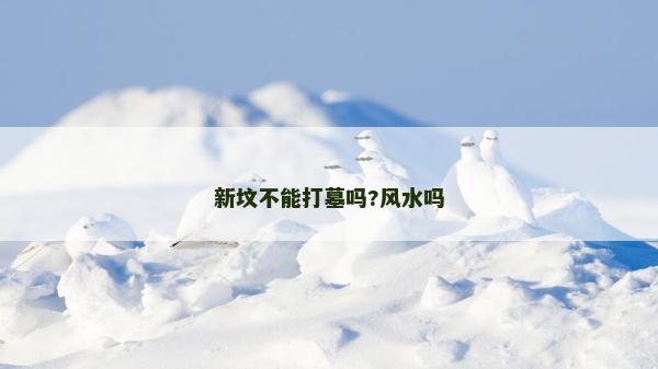 新坟不能打墓吗?风水吗