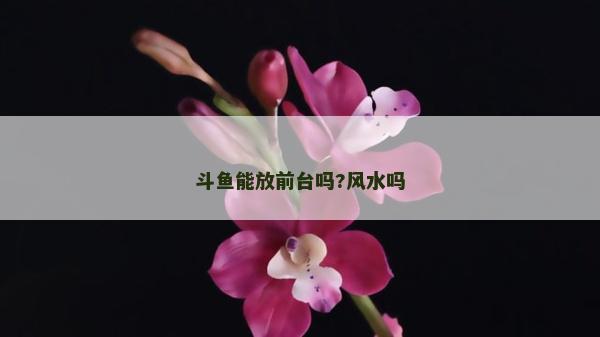 斗鱼能放前台吗?风水吗
