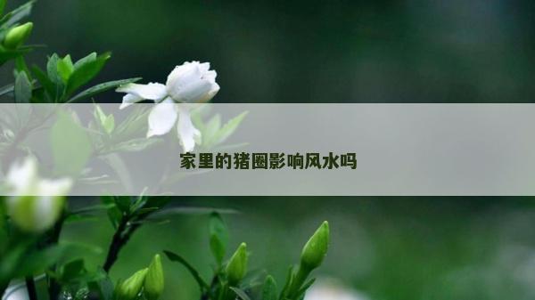 家里的猪圈影响风水吗