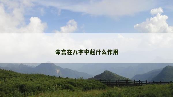 命宫在八字中起什么作用
