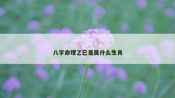 八字命理乙巳是属什么生肖