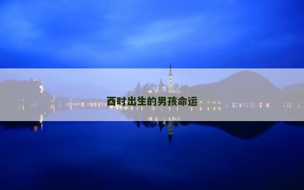 酉时出生的男孩命运