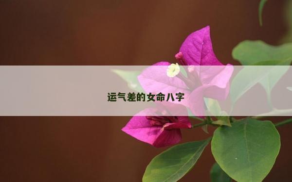 运气差的女命八字