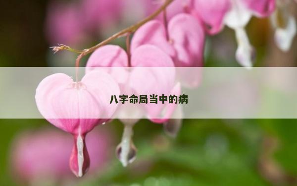 八字命局当中的病