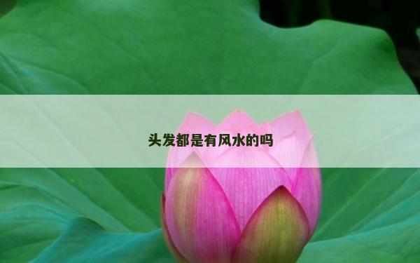 头发都是有风水的吗