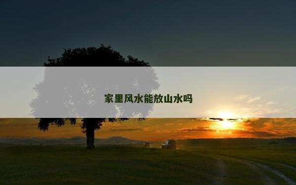 家里风水能放山水吗