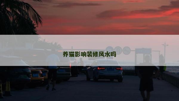 养猫影响装修风水吗