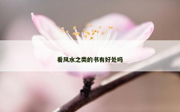 看风水之类的书有好处吗