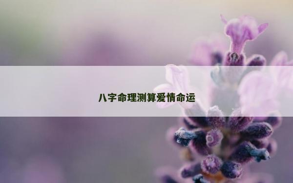 八字命理测算爱情命运