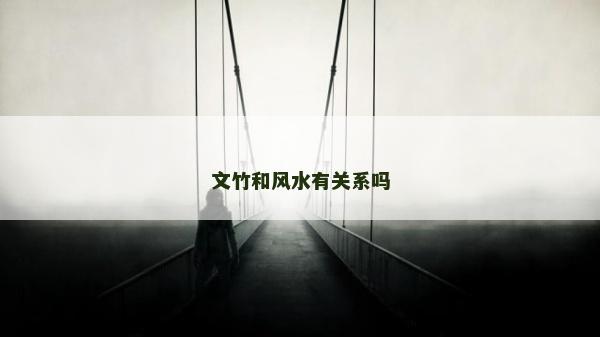 文竹和风水有关系吗