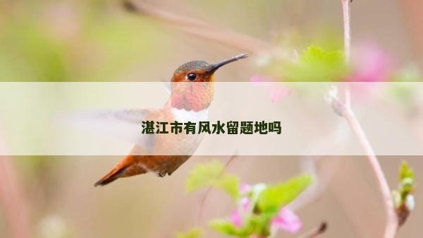 湛江市有风水留题地吗