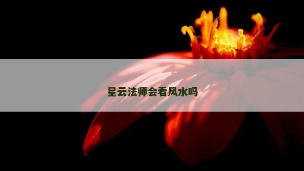 星云法师会看风水吗