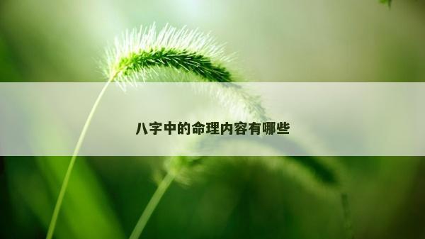 八字中的命理内容有哪些