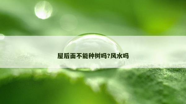 屋后面不能种树吗?风水吗