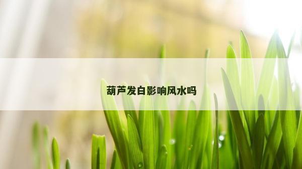 葫芦发白影响风水吗