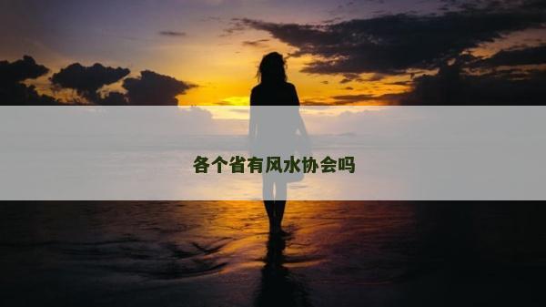 各个省有风水协会吗
