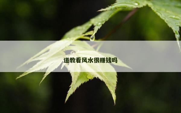 道教看风水很赚钱吗