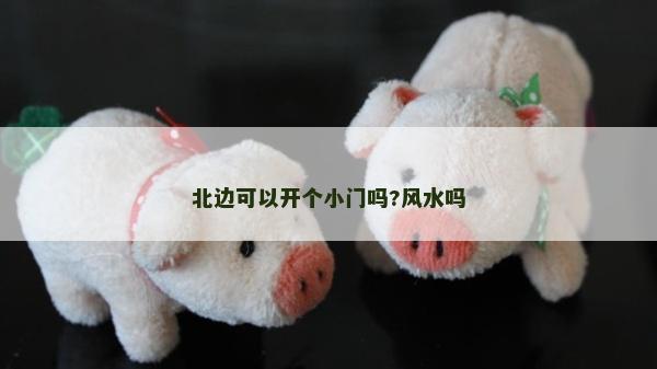 北边可以开个小门吗?风水吗