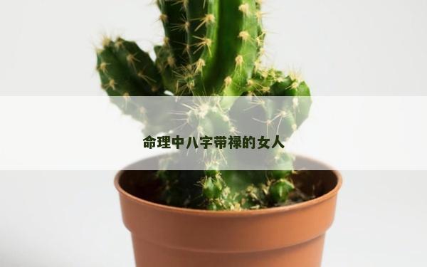 命理中八字带禄的女人