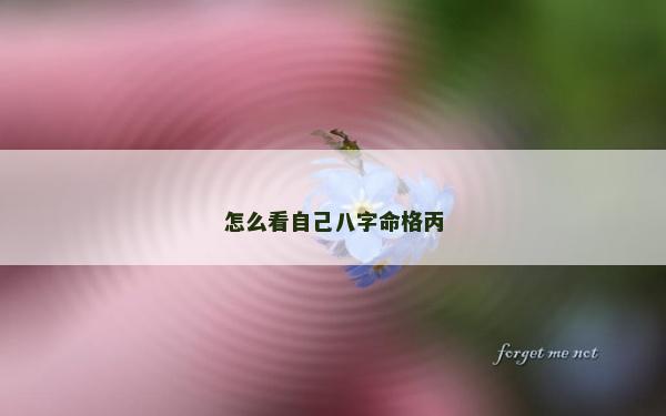 怎么看自己八字命格丙