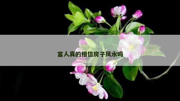 富人真的相信房子风水吗