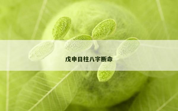 戊申日柱八字断命