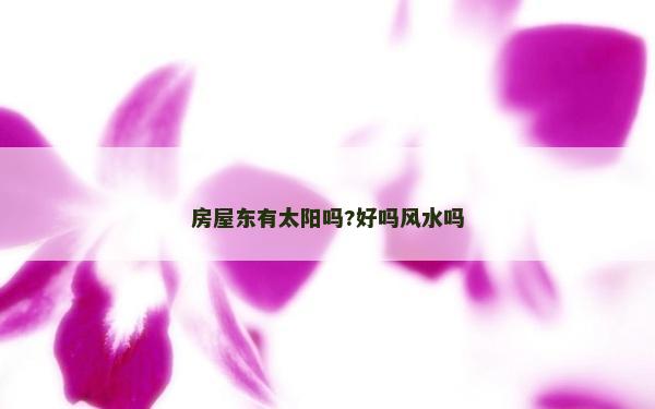 房屋东有太阳吗?好吗风水吗
