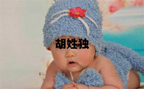 胡姓独特优美的男宝宝名字
