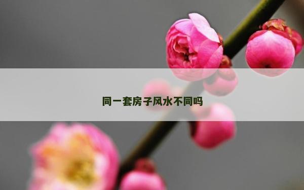 同一套房子风水不同吗