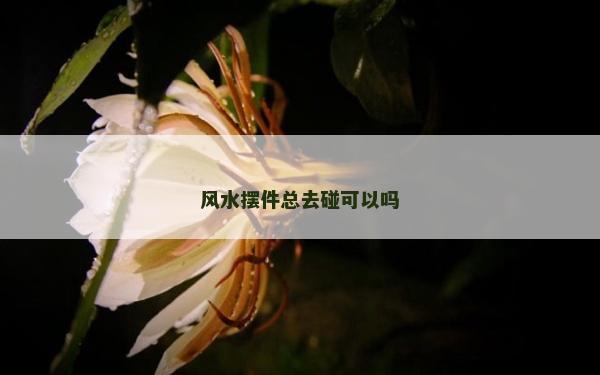 风水摆件总去碰可以吗
