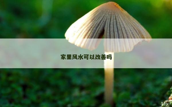家里风水可以改善吗
