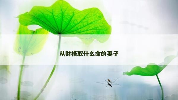 从财格取什么命的妻子
