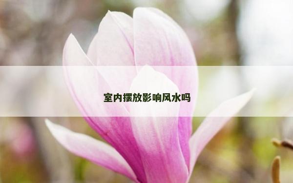 室内摆放影响风水吗