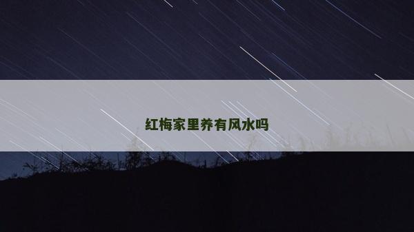 红梅家里养有风水吗