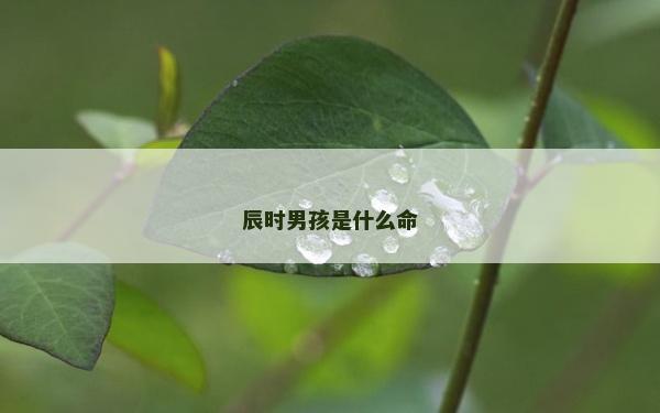 辰时男孩是什么命