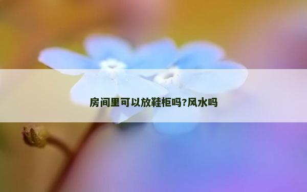 房间里可以放鞋柜吗?风水吗