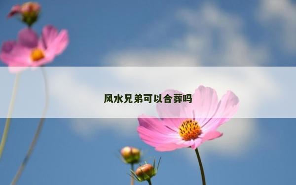 风水兄弟可以合葬吗