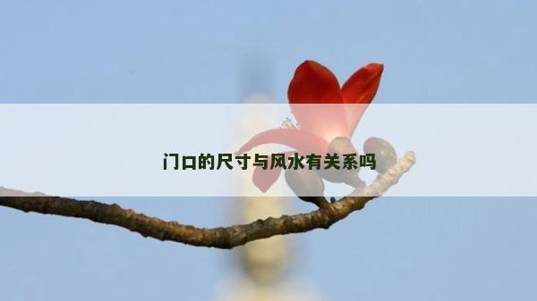 门口的尺寸与风水有关系吗
