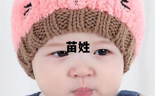 苗姓大气文雅的女宝宝名字