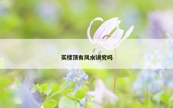 买楼顶有风水讲究吗