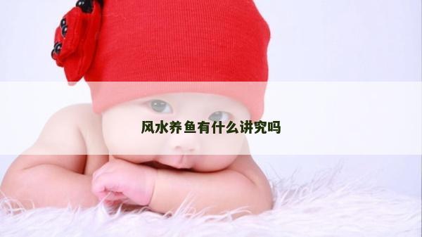 风水养鱼有什么讲究吗